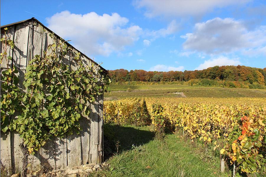 Romery  Gite Du " Bas Du Cru "ヴィラ エクステリア 写真